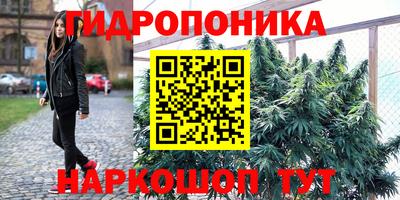 гидра Аша