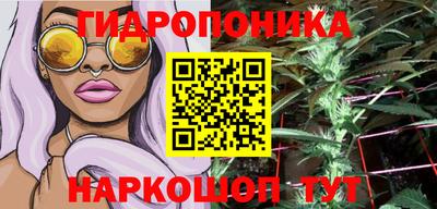 гидра Аша