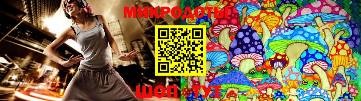 Галлюциногенные грибы Psilocybe Белогорск
